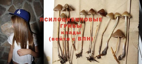 тгк Аркадак