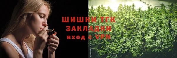 тгк Аркадак
