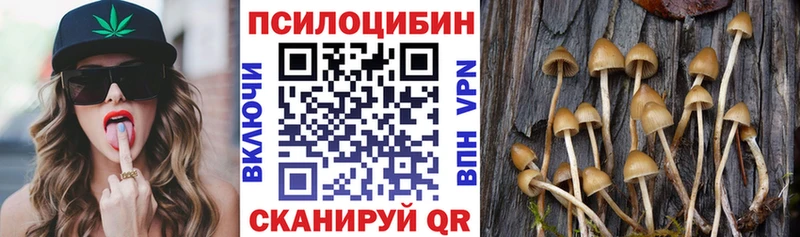 Псилоцибиновые грибы MAGIC MUSHROOMS  Сухой Лог 